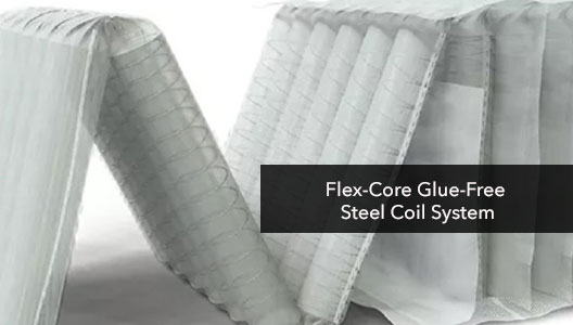Flex-Core Coil System
